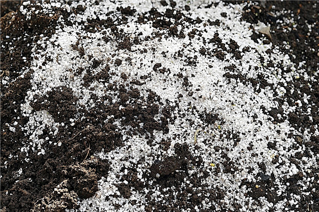 O que é Perlite: Aprenda sobre o solo para envasamento de perlita