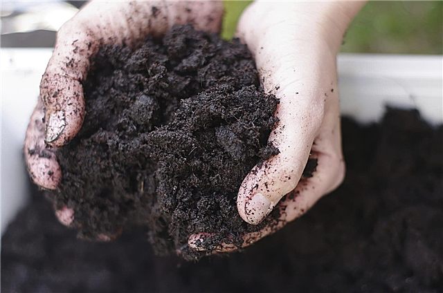 Préparation du sol de jardin: conseils pour améliorer le sol de jardin