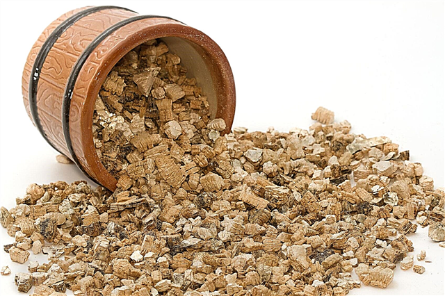 Qué es la vermiculita: consejos sobre el uso del medio de cultivo de vermiculita