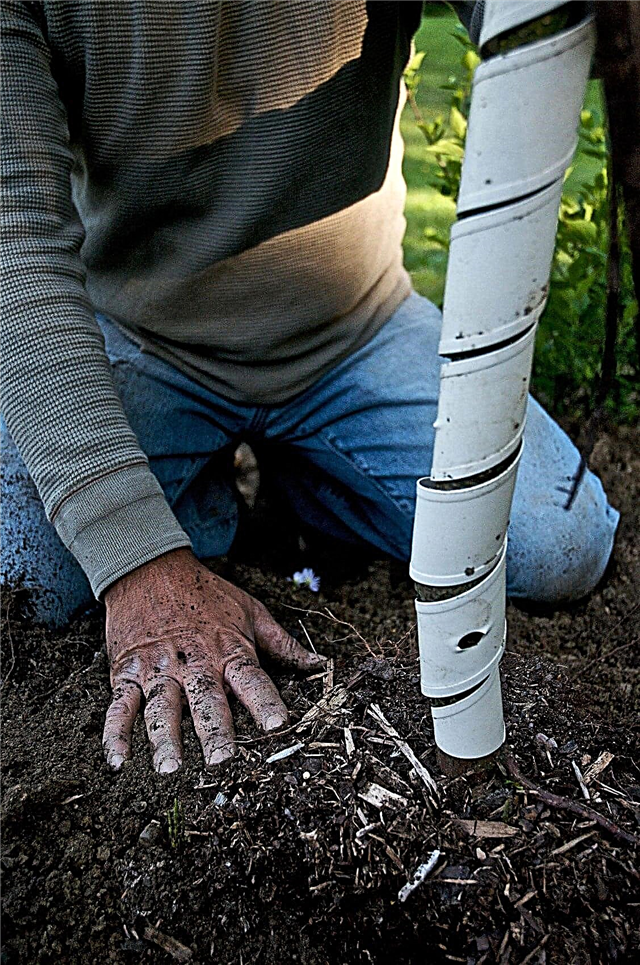 Proteção de árvores contra veados: Protegendo árvores recém-plantadas de veados