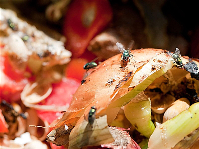 Faire face aux mouches dans le compost: Dois-je avoir beaucoup de mouches dans mon compost?