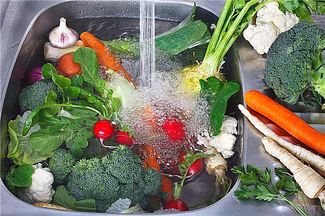 Lavage des légumes du jardin: comment nettoyer les produits frais
