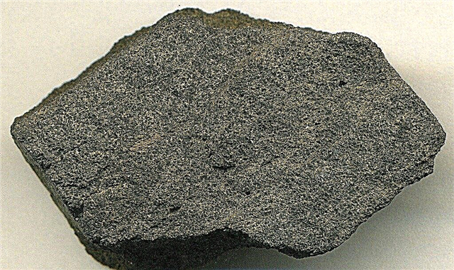 Τι είναι το φωσφορικό βράχο: Η χρήση λιπασμάτων φωσφορικών βράχων στους κήπους