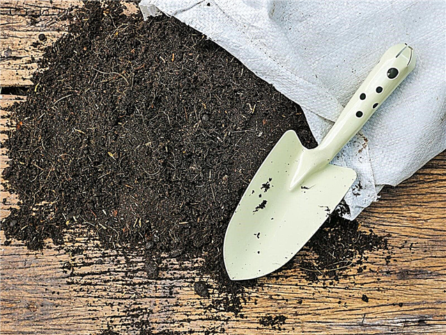정원에서 토양 사용 : 표토와 포팅 토양의 차이