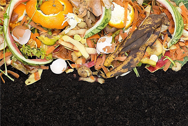 Kan kompost bruges som mulch: Oplysninger om brug af kompost som have-mulch