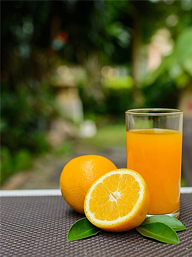 Използване на сок върху растения: трябва ли да храните растения с плодов сок