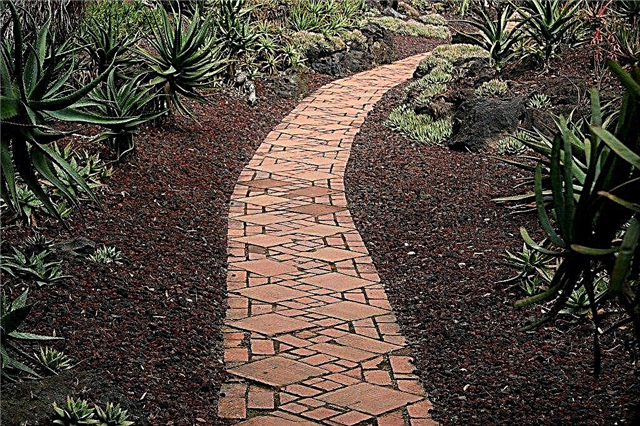 Paths For Gardens: Suggerimenti per la progettazione di un percorso da giardino
