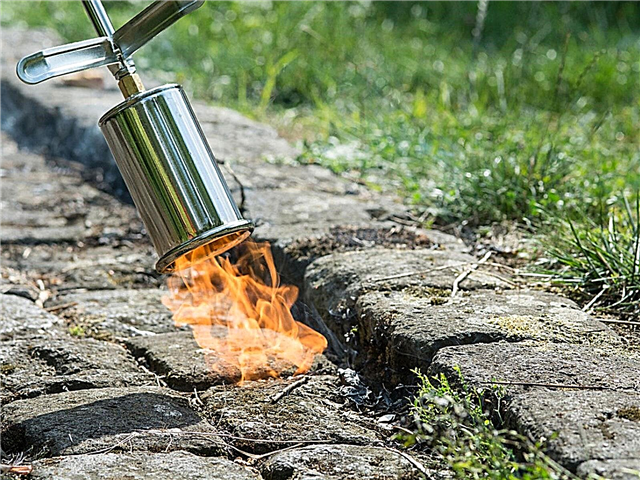 Qu'est-ce que le désherbage à la flamme: informations sur le désherbage à la flamme dans les jardins