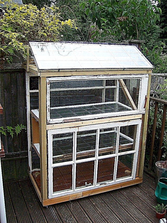 Invernadero del panel de ventana: Hacer un invernadero con ventanas viejas