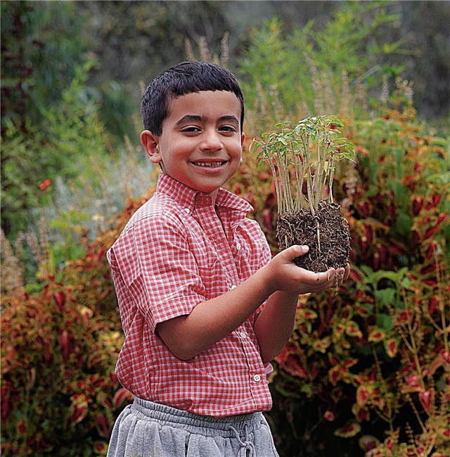 Jardiner avec des enfants d'âge scolaire: comment créer un jardin pour les enfants d'âge scolaire