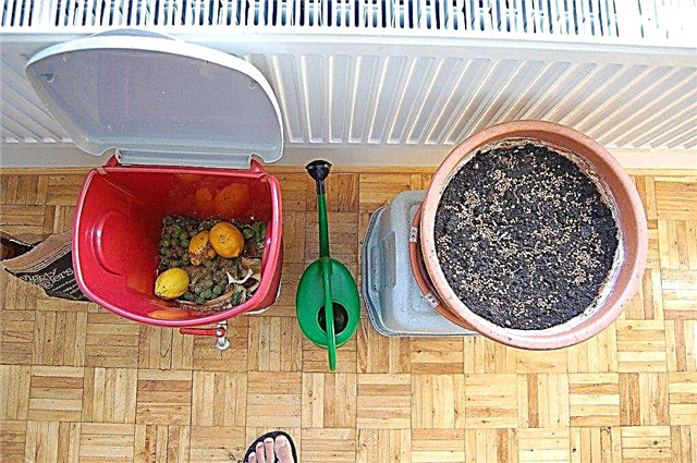 Komposto gaminimas patalpose - kaip kompostuoti namuose