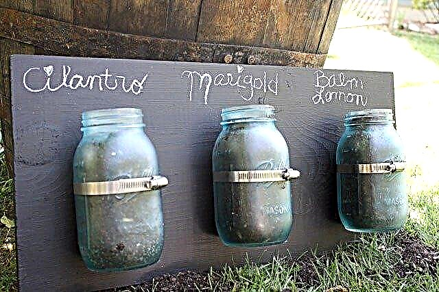 Mason Jar Herb Garden: Cultivo de hierbas en frascos de conservas