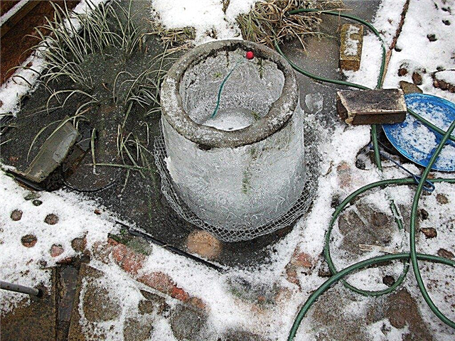 Îngrijirea iazurilor de iarnă: sfaturi pentru supraîncărcarea bazinelor de grădină