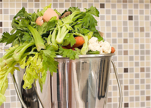 Kökskompostering: Hur man komposterar matrester från köket