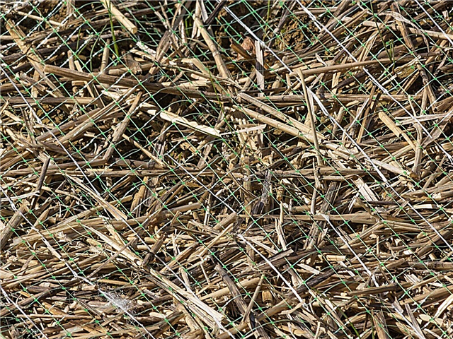 Lưới cho bãi cỏ - Cách sử dụng lưới cảnh quan