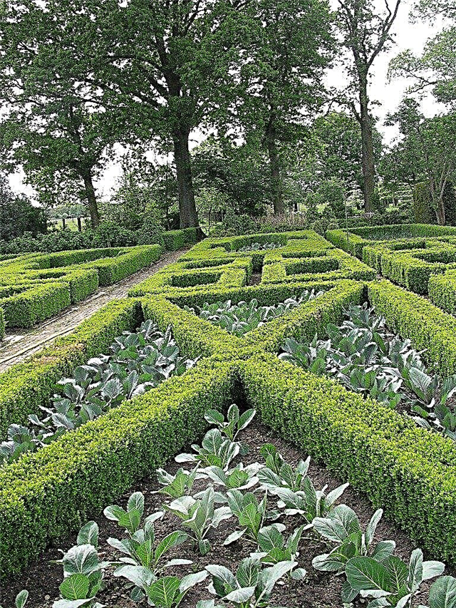Официален стил на градината: Съвети за създаване на формален дизайн на градината