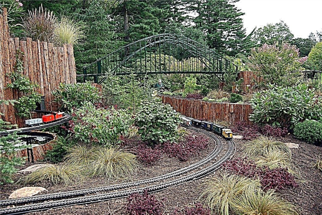أفكار قطار الحديقة: كيفية تصميم حديقة قطار في المناظر الطبيعية