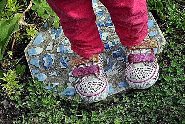 Garden Stepping Stones: Cómo hacer Stepping Stones con niños