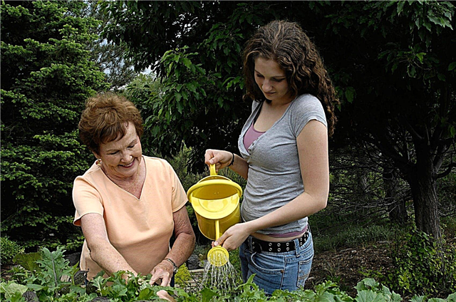 Atividades do jardim para adolescentes: Como jardinar com adolescentes
