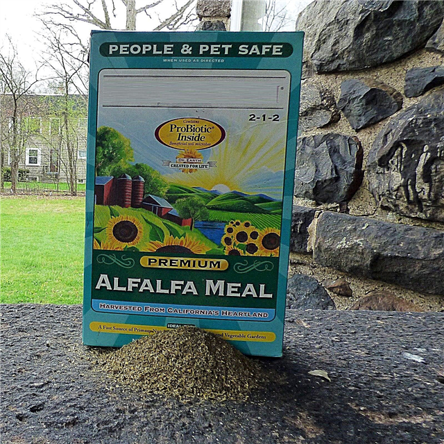 Düngen mit Alfalfa-Mahlzeit: Wie man Alfalfa-Mahlzeit im Garten verwendet
